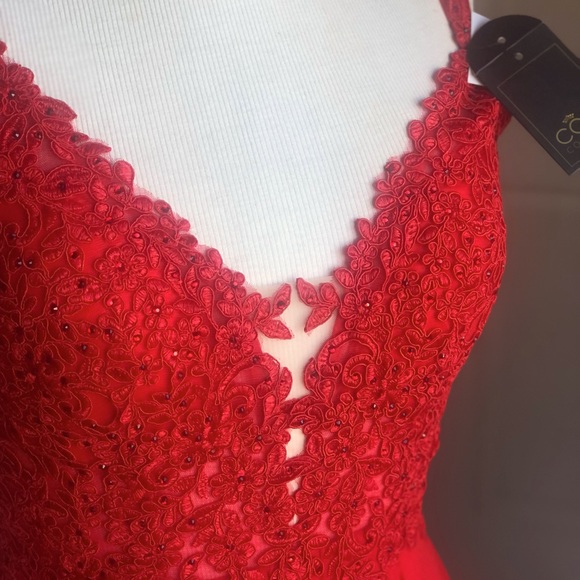 COYA Collection formal dress. Sz M (10); NWT - Picture 4 of 10